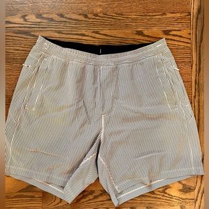 Birddogs shorts flying wasps